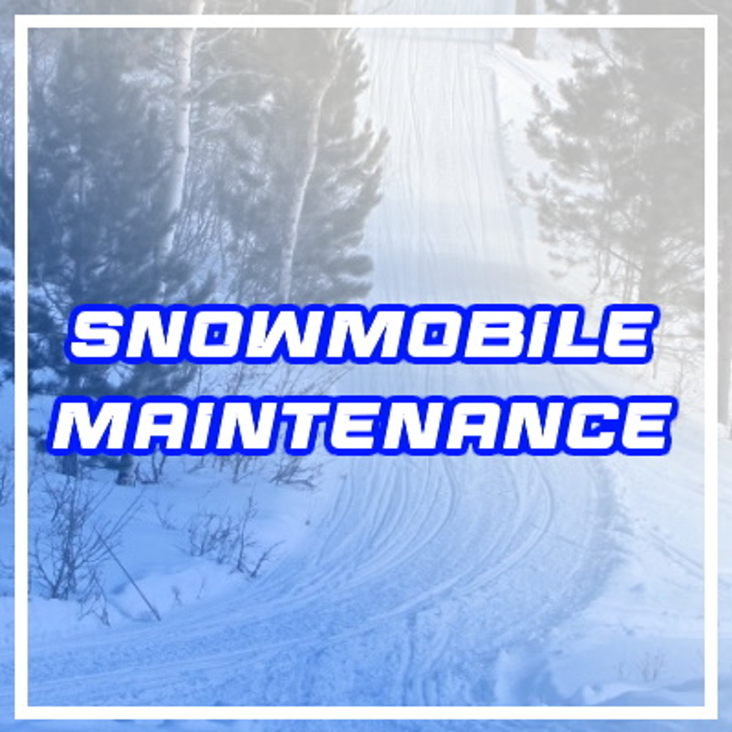 Snowmobile Appraisal: The Ultimate Guide To Getting Top Dollar - 0rax3j9