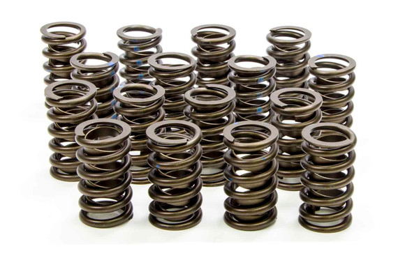 1.260in Valve Springs  ISK295-D