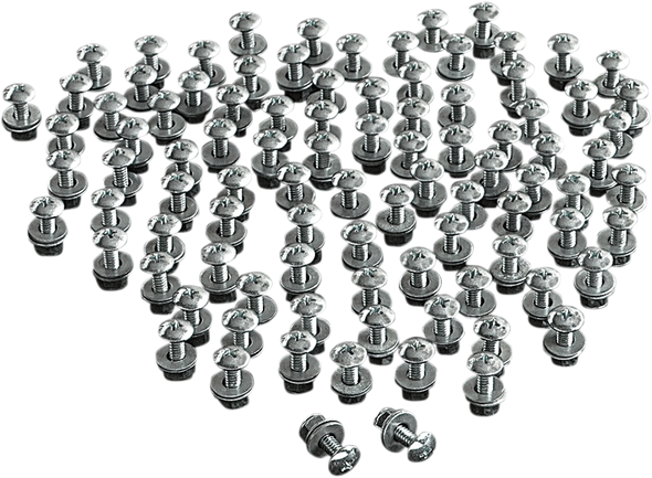 CHRIS PRODUCTS License Plate Bolts - 100PK CHB100