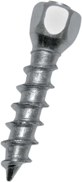 WOODY'S Twist Tire Screws - 25 mm - 100 Pack WST-0625-100