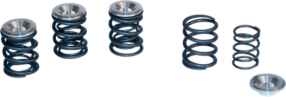 S&S CYCLE Valve Spring Kit - Big Twin 90-2053