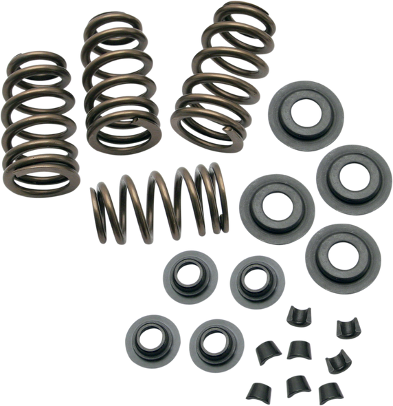 S&S CYCLE Spring Kit - .650" 900-0050