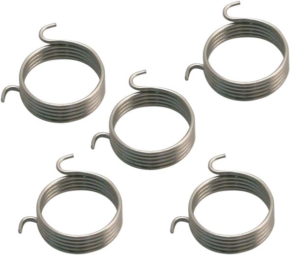 S&S CYCLE Accelerator Pump Spring - 5 Pack 11-3501