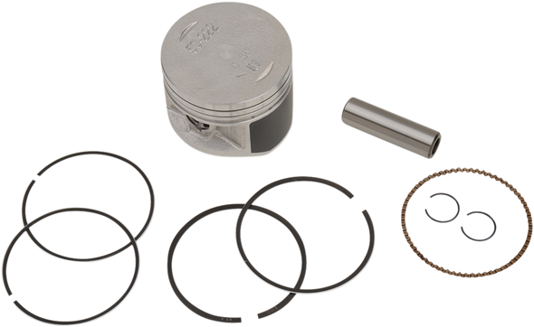 WSM Piston Kit 50-222-09K