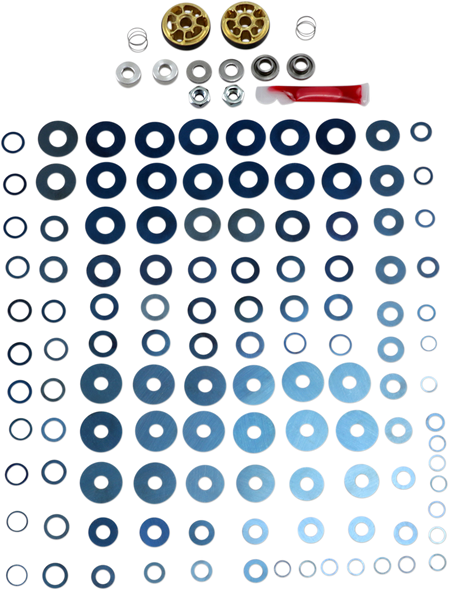 RACE TECH Rebound Gold Valve Fork Kit - 24X6 FRGV 2401