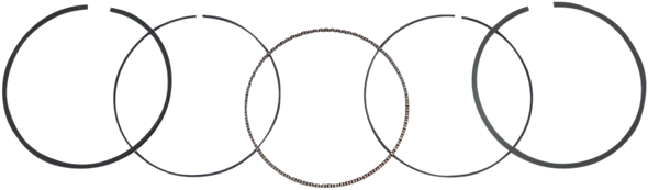 WSM Ring Set 51-220-04