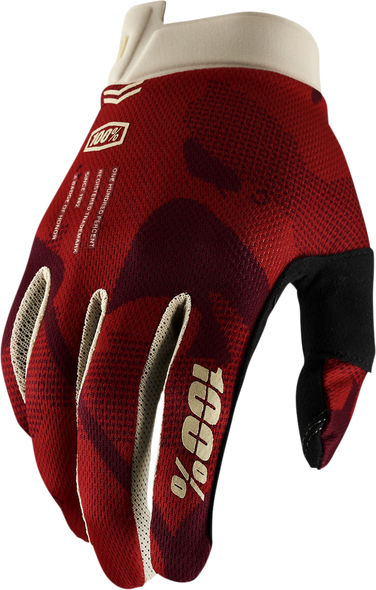 100% iTrack Gloves - Terra - XL 10008-00028