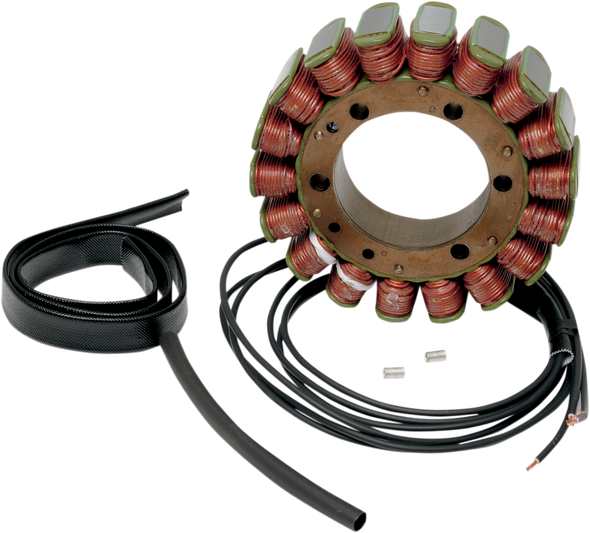 RICK'S MOTORSPORT ELECTRIC Stator - BMW 21-023