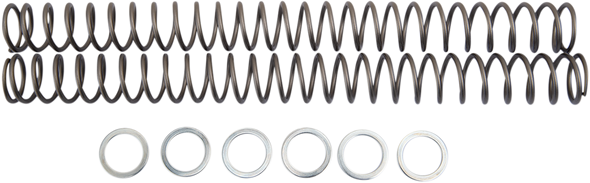 RACE TECH Fork Springs - 0.40 kg/mm FRSP 444740