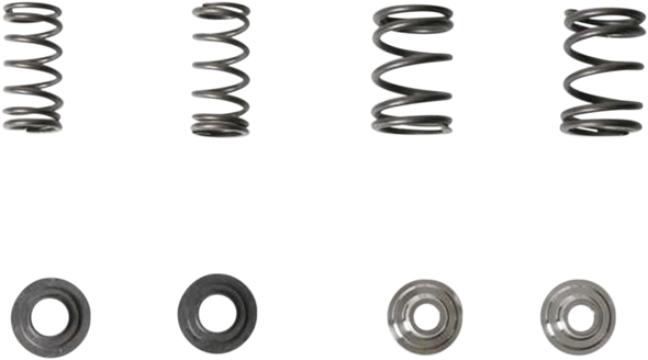 KIBBLEWHITE Valve Spring Kit 30-4021