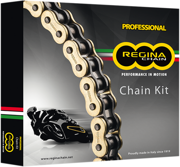 REGINA Chain and Sprocket Kit - Honda - VTR 1000F Super Hawk - '98-'03 6ZRP2/102KHO023