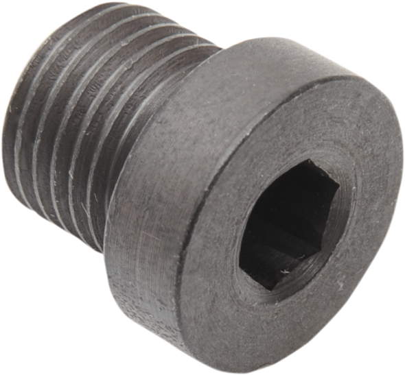 DAYTONA TWIN TEC LLC Steel Plug - 12mm x 1.25mm 115010
