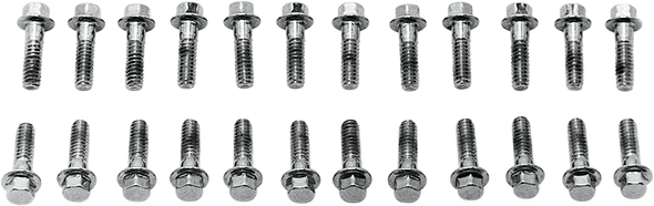 COLONY Screws Valve Cover Chrome 8734-24