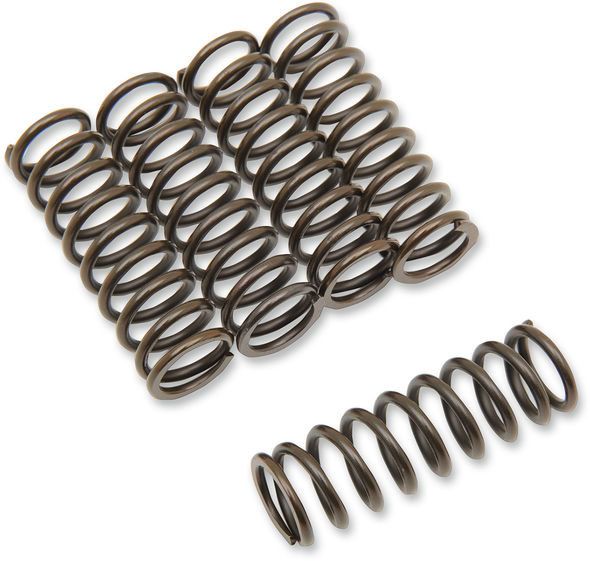 BARNETT Clutch Spring Set 501-48-05129