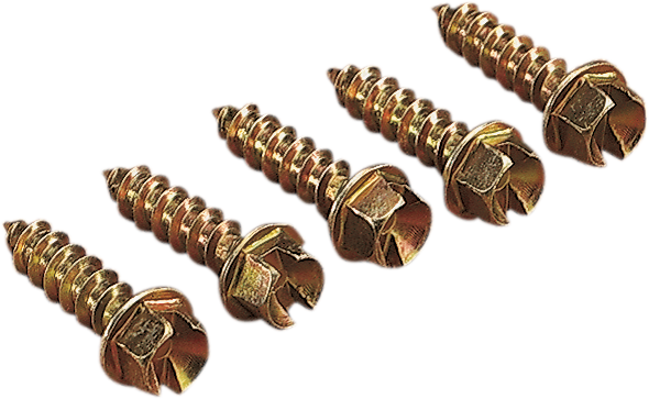 GOLD SCREWS Ice Screws - Gold - 1" - 250 1250-0061