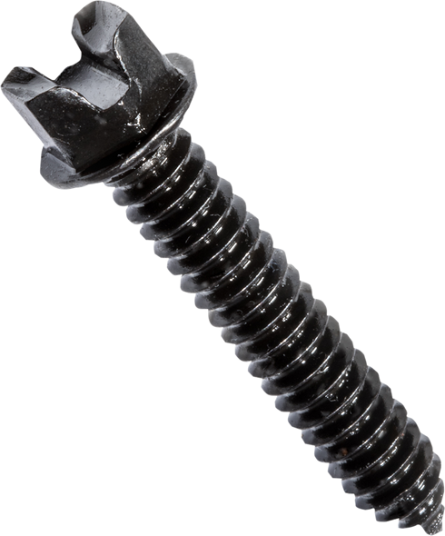 KOLD KUTTER AMA Traction Screws - #10 - 24 x 1 - 250 Pack KK100-10-250