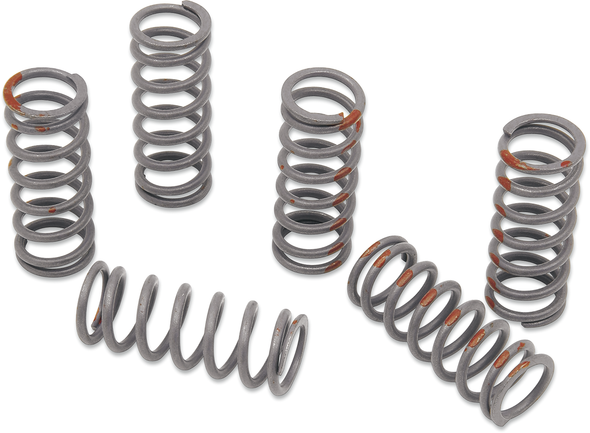 KG POWERSPORTS Clutch Spring Set KGS-714