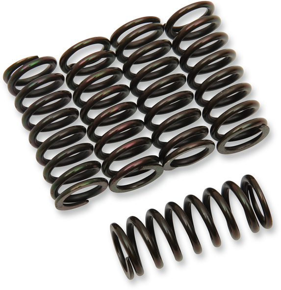 BARNETT Clutch Springs 501-58-05045