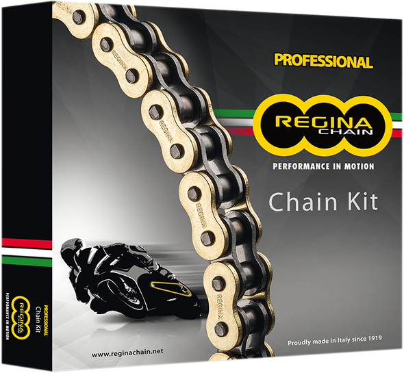 REGINA Chain and Sprocket Kit - Kawasaki - KLR650 - '90-'17 5ZRP/106KKA015