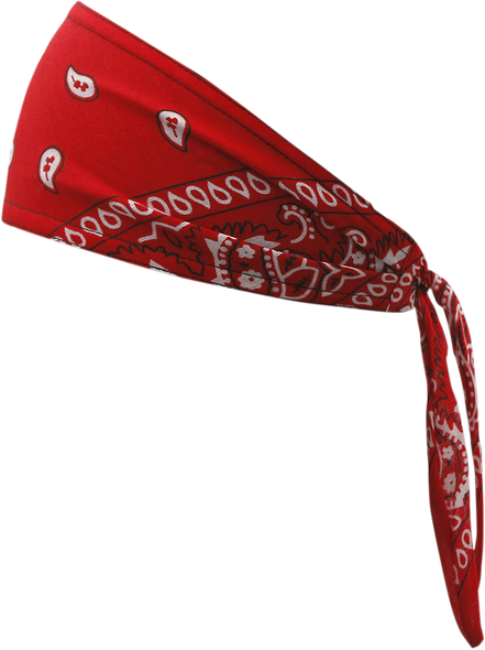 SCHAMPA & DIRT SKINS Old School Bandana - Red Paisley OSB1-225