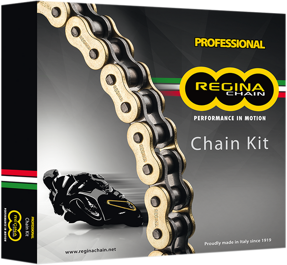 REGINA Chain and Sprocket Kit - Kawasaki - ZX11 - '93-'01 6ZRP2/110KKA010