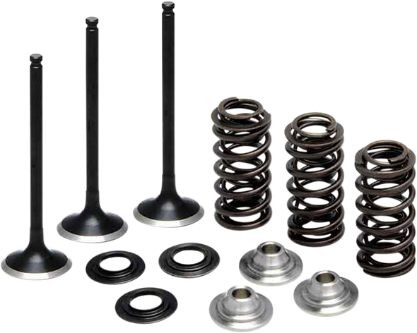 KIBBLEWHITE Valve Spring Kit 80-80850