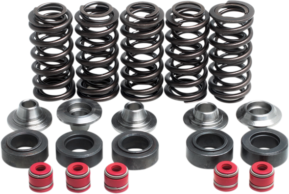 KIBBLEWHITE Valve Spring Kit 80-80100