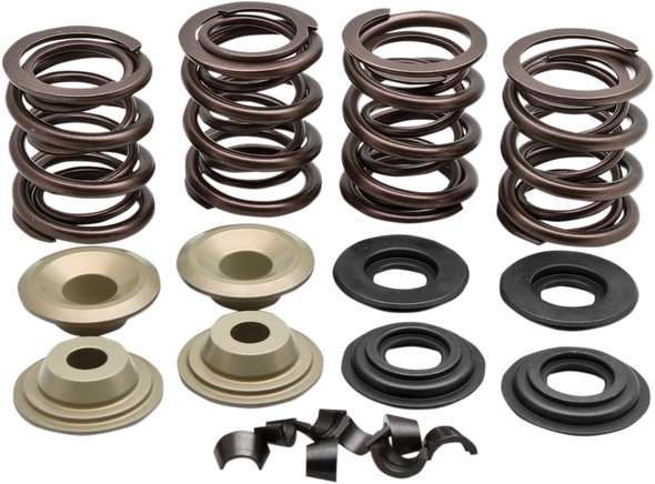 KIBBLEWHITE Valve Spring Kit - Big Twin 20-2110