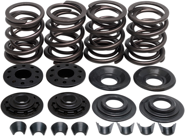 KIBBLEWHITE Valve Spring Kit - XL 20-2210