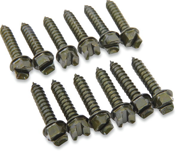 GOLD SCREWS Ice Screws - 1" - 1000 Pack 1250-0304