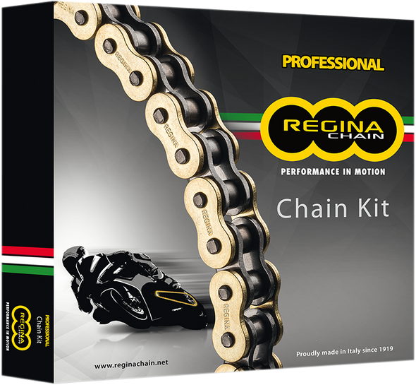 REGINA Chain and Sprocket Kit - Suzuki - GSXR600 - '01-'03 7ZRT/110-KSU003