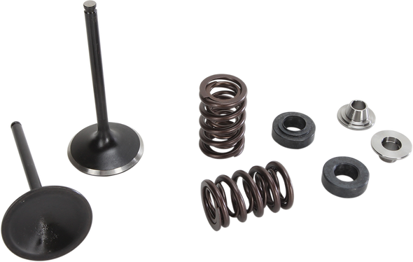 MOOSE RACING Valve and Spring Kit M80-81110