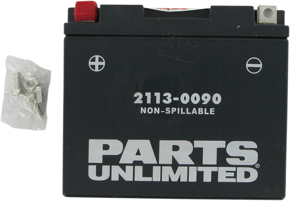 PARTS UNLIMITED AGM Battery - YT12B4/YT12B-BS CT12B4