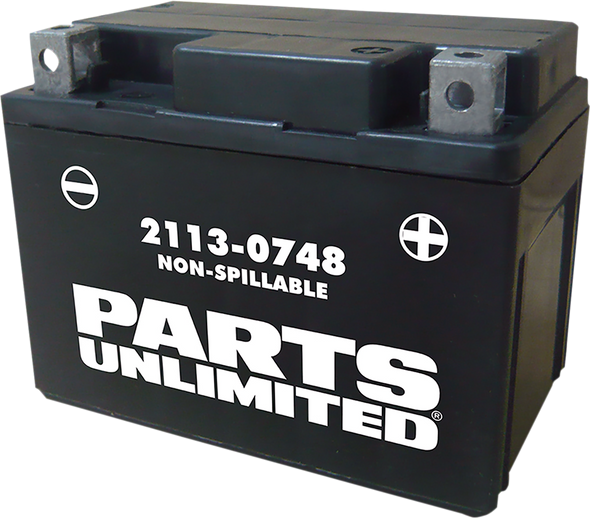 PARTS UNLIMITED AGM Battery - YTX4L CTX4L