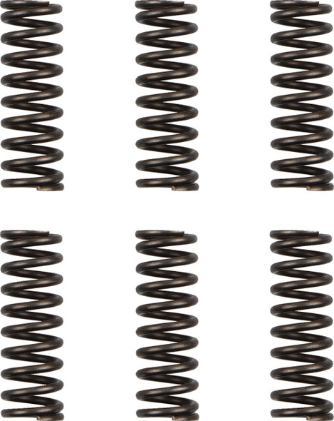  MOOSE RACING Clutch Springs - WR/YZ 450F HDS-156-6 