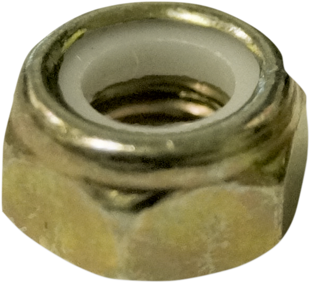 WOODY'S Lock Nuts - 5/16" - 48 Pack NYLC-5020
