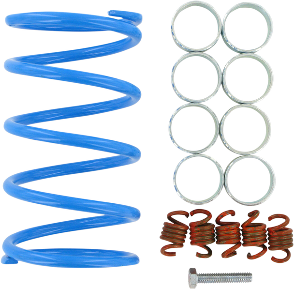 EPI Clutch Kit WE391020