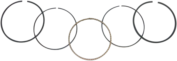 WSM Ring Set 51-250-04