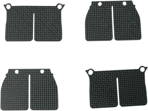 VFORCE/MOTO TASSINARI V-Force Reed Petal Set 2P090-1