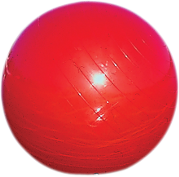 AIRHEAD SPORTS GROUP Buoy - 20" - Red B-20R