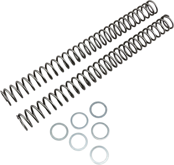 RACE TECH Fork Springs - 0.44 kg/mm FRSP 444744