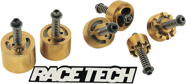 RACE TECH Gold Valve Cartridge Fork Emulators for Street/Track/Touring - 41 mm FEGV S4101