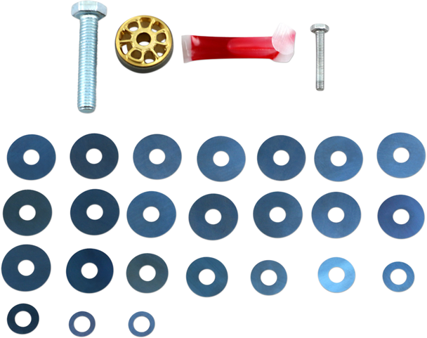 RACE TECH Steering Damping Gold Valve Kit CMGV 2401