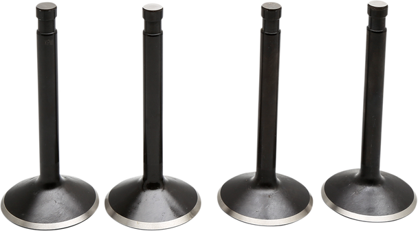 KIBBLEWHITE Valve Kit 20-22400 KIBBLEWHITE Valve Kit 20-22400