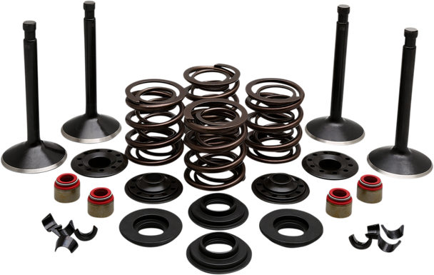 KIBBLEWHITE Engine Kit - Panhead 20-22150