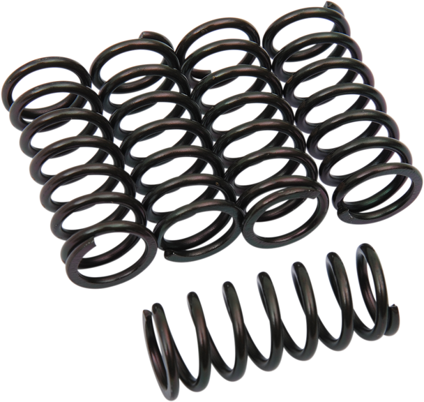 BARNETT Clutch Springs 501-73-05067