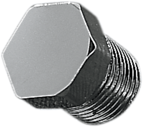 GARDNER-WESTCOTT 1/8" NPT Hex Plug - Chrome 7-121PP-2
