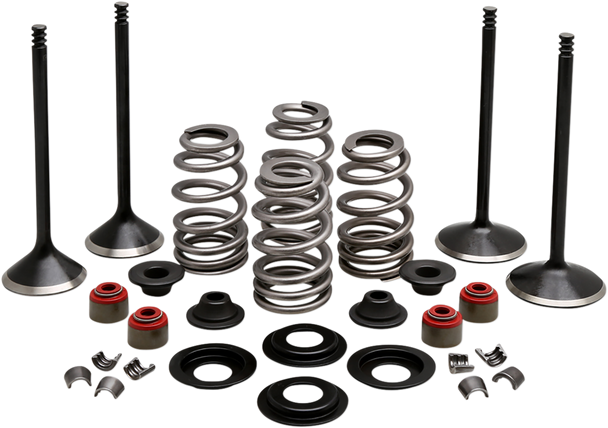 KIBBLEWHITE Complete Valve Kit - Evolution/1200 20-22950