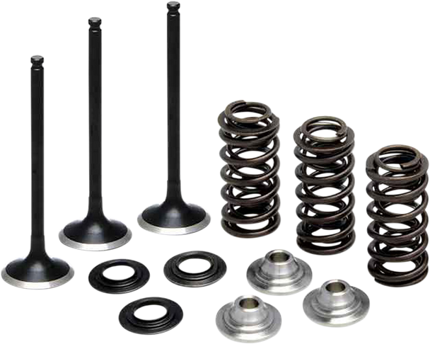 KIBBLEWHITE Valve Spring Kit 80-80850