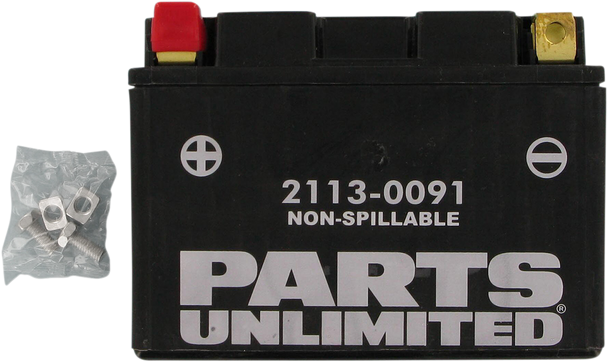 PARTS UNLIMITED AGM Battery - YTZ12S CTZ12S